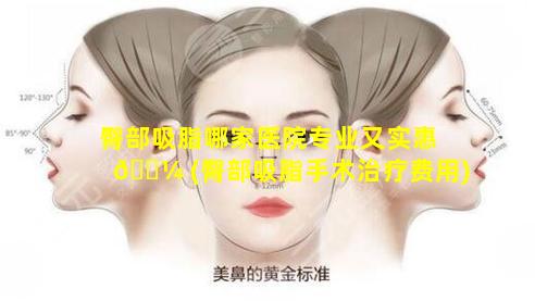 臀部吸脂哪家医院专业又实惠 🌼 (臀部吸脂手术治疗费用)